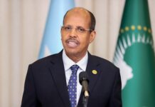 AU condemns coordinated attacks on Malian cities