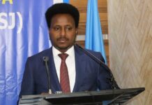 Turkish Support for Somali President Could Deepen Political Tensions, Opposition Figure Warns