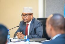 Somali defence minister hails decade-long security reform programme