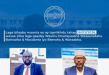 Somalia PM Dismisses Two State Ministers in Cabinet Reshuffle