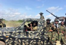Suspected Al-Shabaab Member Arrested in Planned Security Operation in Afmadow, Somalia