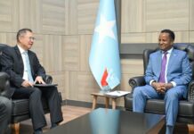 Somalia and China Strengthen Strategic Cooperation on Maritime Resources and Security