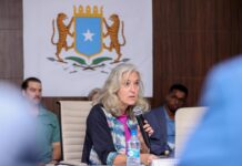 EU prioritises political stability and governance support in Somalia