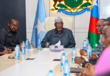 Speaker of Somali Parliament Meets Southwest State Ministers to Review Public Services