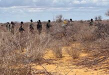 Somali forces kill 12 Al-Shabaab militants in airstrikes near Baidoa