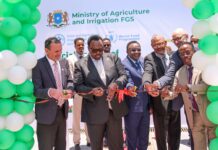 Somalia’s Deputy Prime Minister Launches Agriculture Coordination Platform in Mogadishu