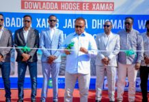 Guddoomiyaha Gobolka Banaadir oo Xariga ka Jaray Waddada Sheekh Cali Suufi
