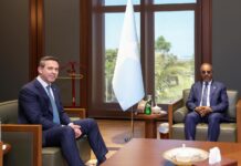 Turkey eyes Somali oil to shore up domestic energy security