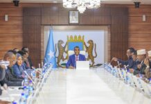 Somali Cabinet Appoints New Immigration Chief, Approves General Pardon Decree