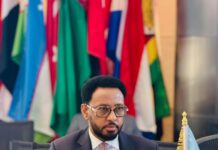 Somalia Finance Minister Urges Revenue Reforms at World Bank Meeting