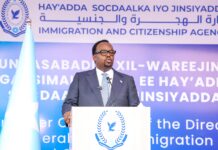 Ra’iisul Wasaare Ku-xigeenka XFS oo xilka u kala wareejiyay Agaasimaha cusub ee Hay’adda Socdaalka iyo Jinsiyadda