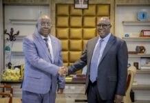 Somalia information minister meets UN official to discuss progress and cooperation