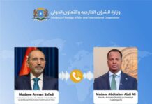 Somalia, Jordan Pledge Closer Cooperation on Security and Economy