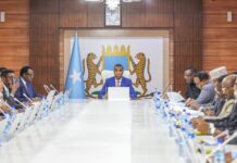 Somalia Cabinet Approves Key Laws and Agreements, Calls for Peace Amid Security Gains