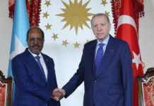 Erdogan, Hassan Sheikh meet in Istanbul to bolster Turkey-Somalia ties