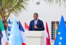 Somali PM Says Government Focused on Security, Democratic Transition