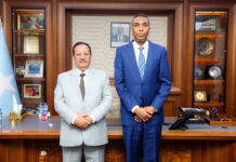 Somali PM Meets Yemeni Envoy to Boost Bilateral Cooperation