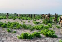 Somali special forces arrest Al-Shabaab suspects in operation near Afgoye town