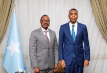 Somalia PM receives new Djibouti ambassador, pledges to strengthen bilateral ties