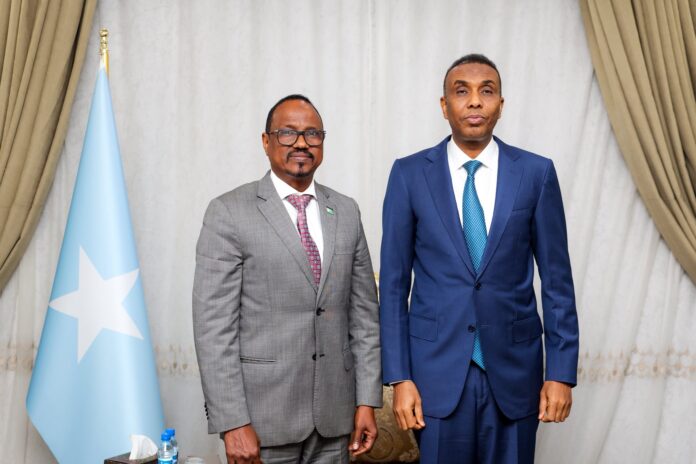 Somalia PM receives new Djibouti ambassador, pledges to strengthen bilateral ties