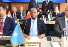 Somalia participates in Arab Health Ministers’ meeting in Geneva