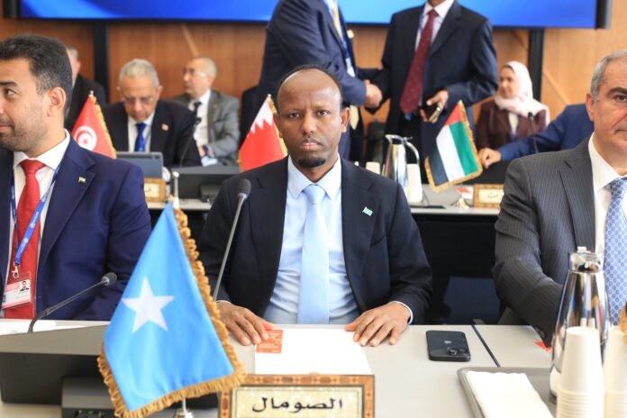 Somalia participates in Arab Health Ministers’ meeting in Geneva