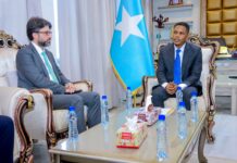 Somalia, Turkey discuss stronger media and cultural cooperation