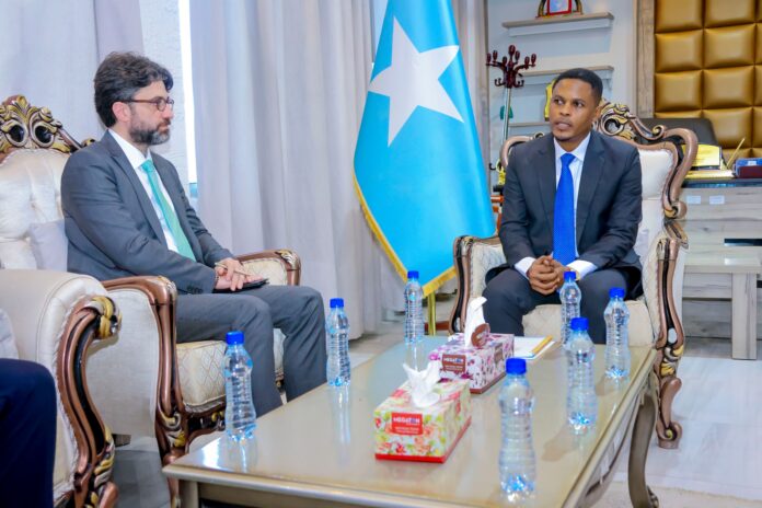 Somalia, Turkey discuss stronger media and cultural cooperation