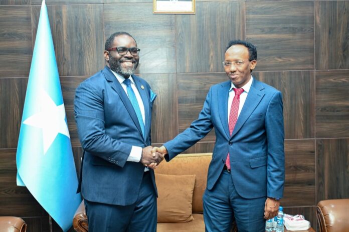 Somali deputy foreign minister meets new UNFPA representative