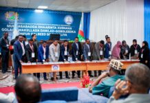 New South West State Lawmakers Sworn In Ahead of Regional Leadership Elections