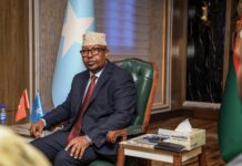 Somalia, Turkey discuss expanding military cooperation