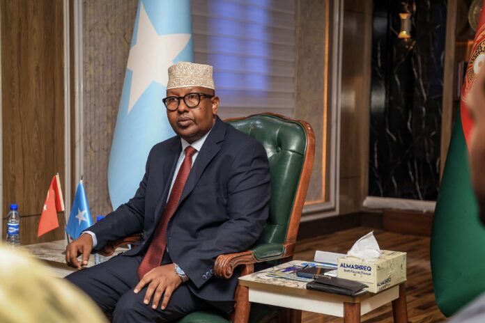 Somalia, Turkey discuss expanding military cooperation