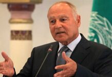 Arab League warns of danger of Israeli intervention in Somalia and the Horn of Africa
