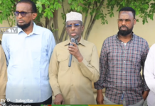 Mucaaradka oo Bannaanbax ku Qabanaya Koonis