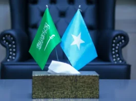 Somalia condemns Houthi attacks on Saudi airports that killed civilians