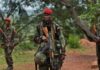 Central African Republic Army Denies Coup Rumours, Says Situation Remains Stable