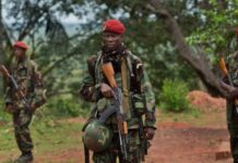 Central African Republic Army Denies Coup Rumours, Says Situation Remains Stable