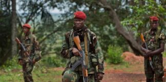 Central African Republic Army Denies Coup Rumours, Says Situation Remains Stable