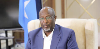 Aadan Madoobe oo Ku Guuleystay Doorashada Madaxtinimada Koonfur Galbeed