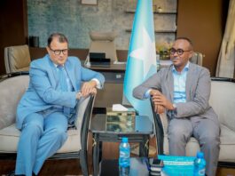 Somalia, Egypt Hold Aid Talks in Mogadishu