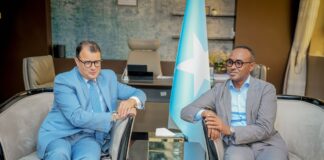 Somalia, Egypt Hold Aid Talks in Mogadishu