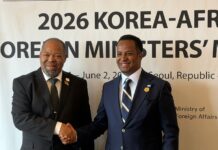 Somalia, Eswatini Pledge Stronger Ties at Korea-Africa Ministerial Meeting