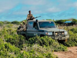 Somali Army Prepares Operations Against Al-Shabaab in Lower Shabelle