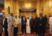 Somalia Showcases Culture at Africa Day Celebration in Qatar