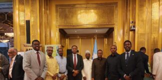 Safaaradda Soomaaliya ee Qatar oo Ka Qayb Gashay Xuska Maalinta Afrika ee Dooxa