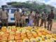 NISA oo Gacanta Ku Dhigtay Walxo Qaraxyo Laga Sameeyo oo Loo Wadey Al-Shabaab