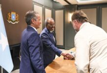Somali President Hosts Italian Investors to Promote Trade and Investment