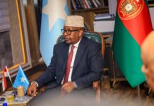 Somalia, Egypt Discuss Strengthening Defence and Security Cooperation
