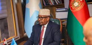 Somalia, Egypt Discuss Strengthening Defence and Security Cooperation