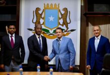 Masar oo Xoojisay Taageerada Midnimada Soomaaliya iyo Iskaashiga Labada Dal